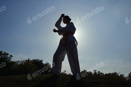 Preview: Taekwondo Athlete Training Alone