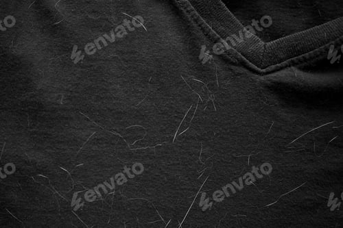 Preview: Pet hair on clothes. Cat hair on T shirt.