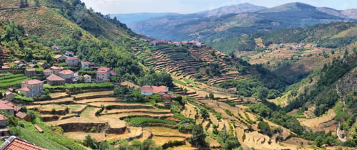 Preview: Viewpoint of the Terraces overlooking the Agricultural terraces Sistelo, Portugal.