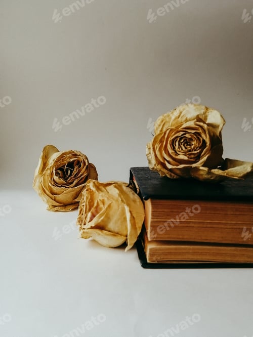 Preview: Vintage book and roses
