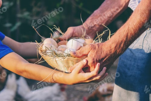 Preview: Farmer Hands Holding Fresh Eggs