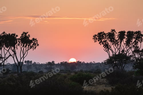Preview: Sunrise in Samburu National Reserve, North Kenya