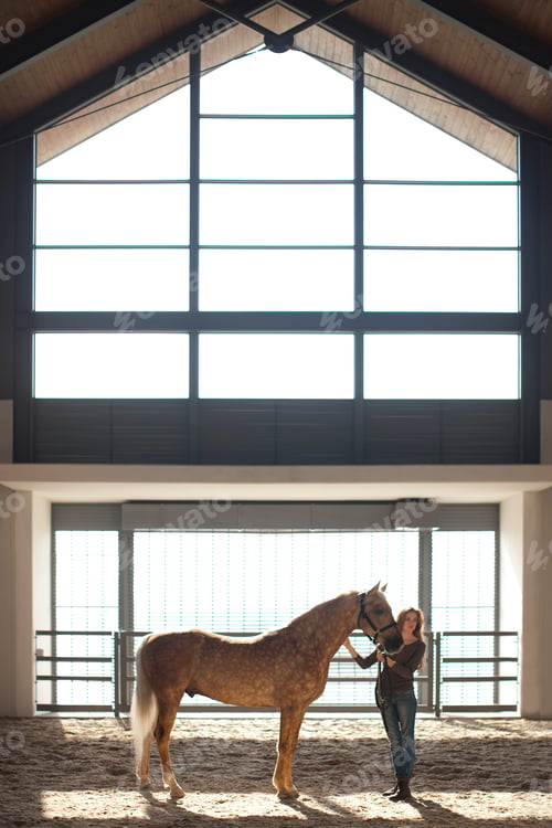 Preview: Young female stablehand standing with palomino horse