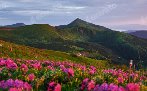 Preview: Beautiful landscape. Majestic Carpathian mountains. Breathtaking view