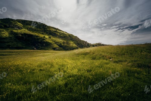 Preview: Green fields and mountain