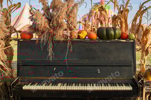Preview: Old piano decorated with pumpkins at warm autumn day.