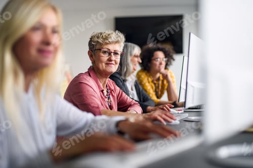 Preview: Group of senior people attending computer and technology education class