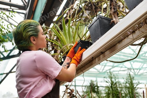 Preview: Young woman nurturing plants in a bright greenhouse while fostering a green thumb