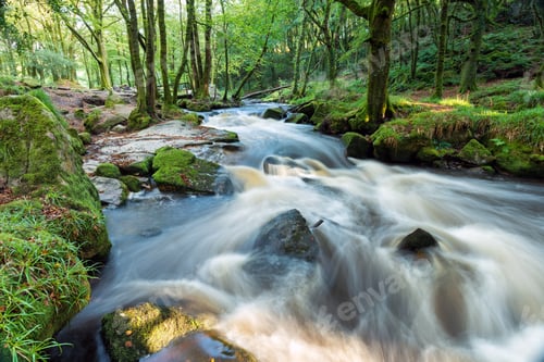 Preview: The River Fowey at Golitha Falls