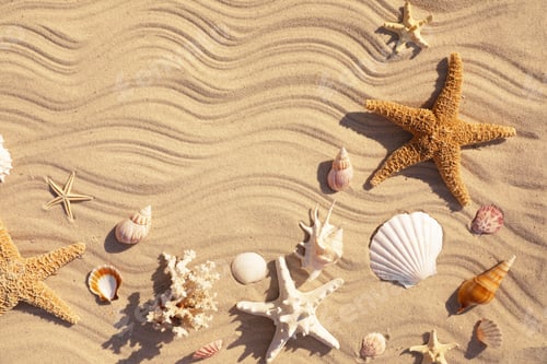 Preview: Starfishes and seashells on beach sand with wave pattern, flat lay. Space for text