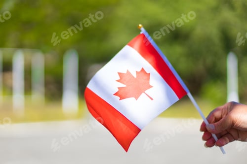 Preview: Female hand holding canadian flag to celebrate the canada day holiday