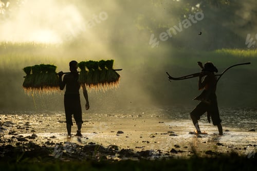 Preview: Farmers and their lifestyle of rice farming based on the seasons