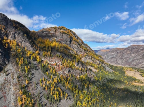 Preview: Steep, rocky mountain slope covered in autumn-colored trees