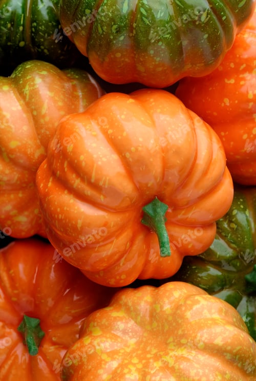Preview: Group of orange and green pumpkins