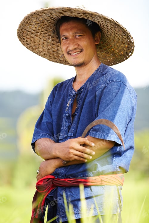 Preview: Portrait of a rice plantation worker holding a scythe - Thailand