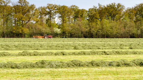 Preview: Spring grass harvest with red tractor 2