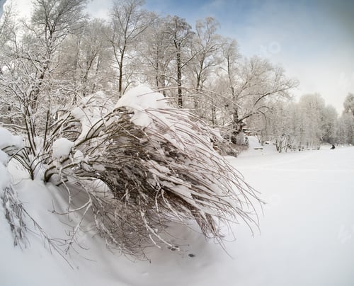 Preview: Winter landscape in the country on a cold sunny day