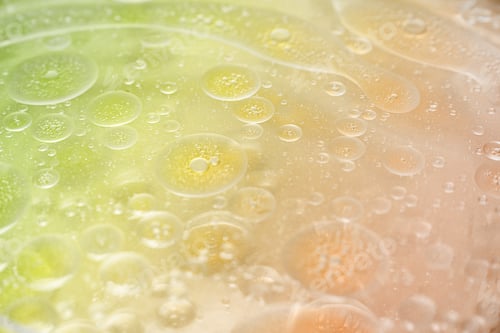 Preview: abstract lime green and orange background formed by drops of oil on water