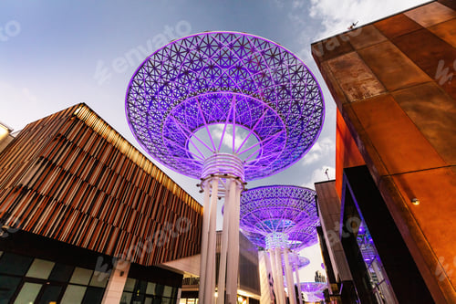 Preview: Dubai Super Trees tourist attraction, UAE