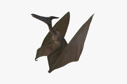 Preview: Pterodactyl with extended wings in ascending posture