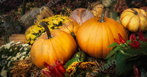 Preview: Festive autumn still life with pumpkins, flowers and vegetables