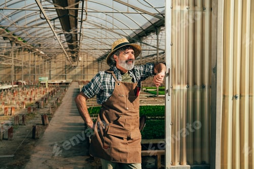 Preview: Farmer senior man working in his farm and greenhouse