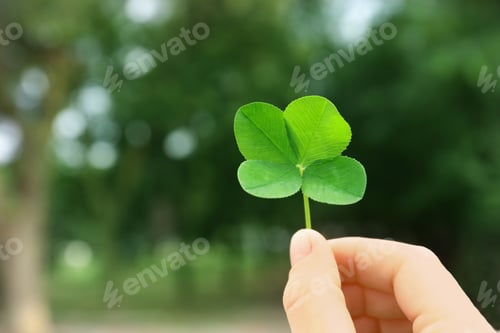 Preview: Woman holding four-leaf clover outdoors, closeup