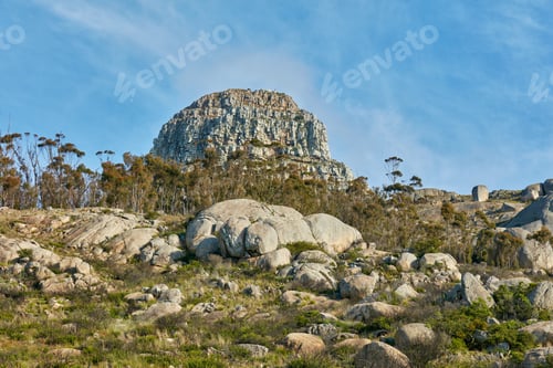 Preview: Lions Head