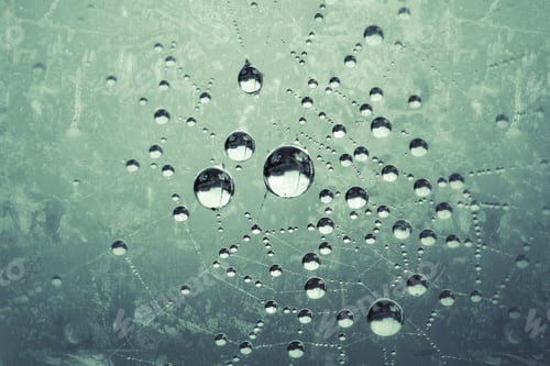 Preview: Droplets of cold, clear condensation and water beads on a metallic background