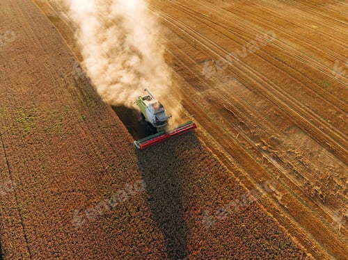 Preview: Top aerial view. Agricultural machine harvesting wheat