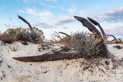 Preview: Cementery of old anchors in the sand of Barril beach in Tavira, Algarve, Portugal