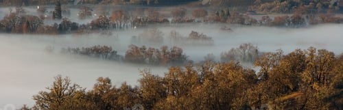Preview: 53783,Fog rolling over rural landscape