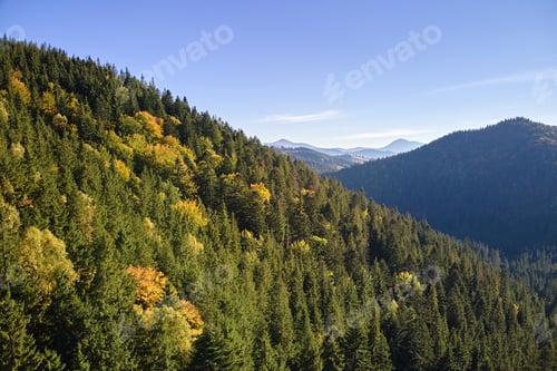 Preview: Aerial view of high hills with dark pine forest trees at autumn bright day. Amazing scenery of wild