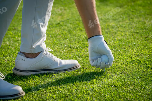 Preview: Golfer placing ball on tee, starting game on golf course