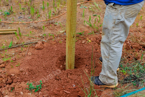 Preview: An installation of new timber fencing a wooden fence posts