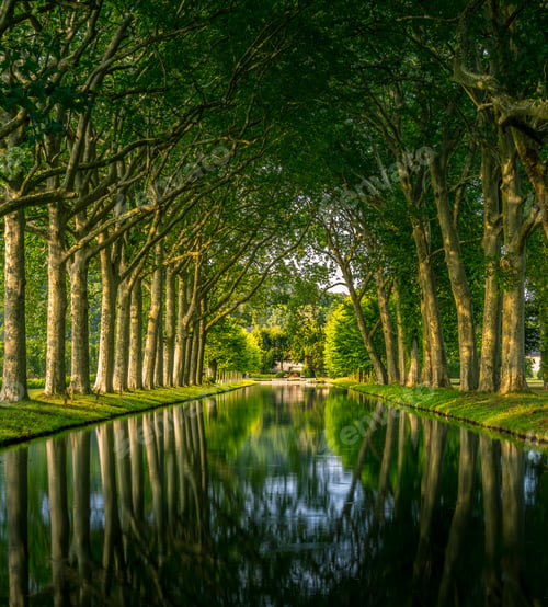Preview: Beautiful view of a reflective lake in a park surrounded by green trees