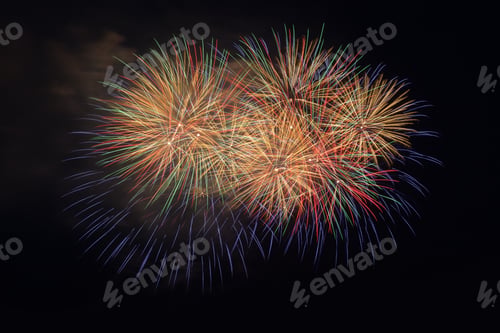 Preview: Firework in the night sky