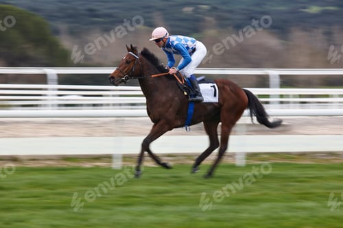 Preview: Horse race training. Competition sport. Hippodrome. Speed background