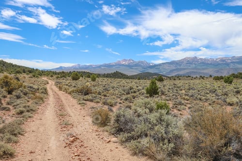 Preview: Dirt road in the Sierra Nevada