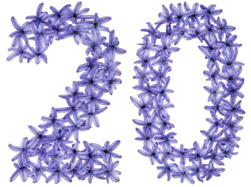 Preview: Numeral 20, twenty, from natural flowers of hyacinth, isolated on white background