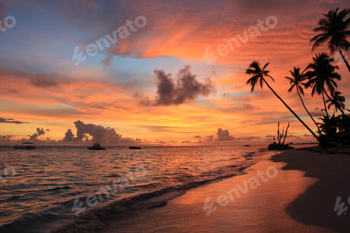 Preview: sunrise and atlantic ocean in Dominican republic summer, vacation
