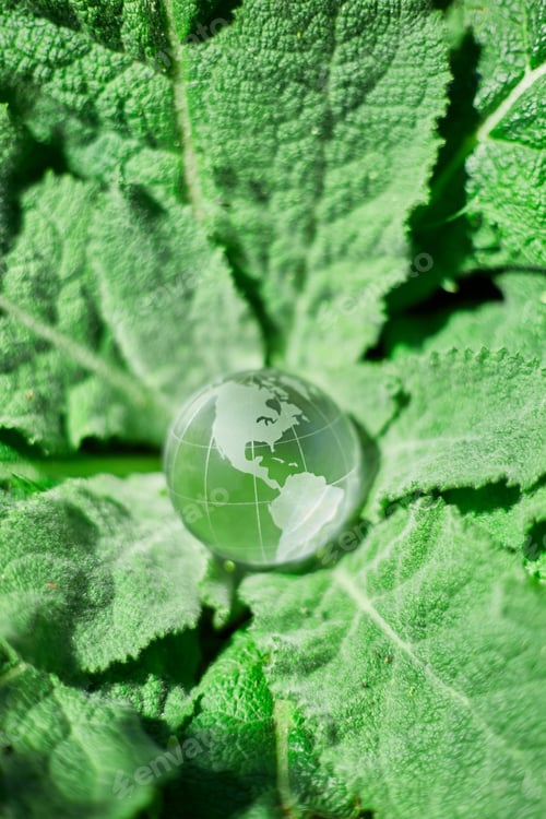 Preview: Glass Earth globe on green grass background