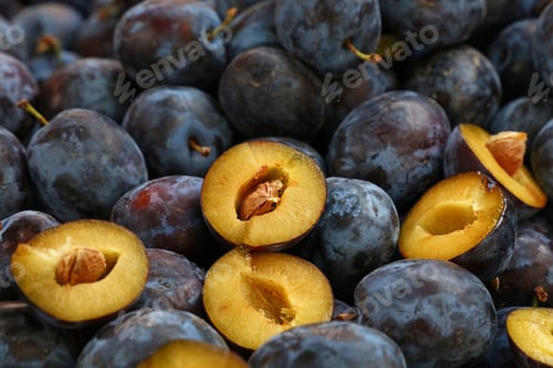 Preview: Fresh ripe blue plums close up at farmers market