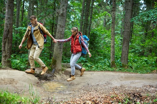 Preview: Travel in forest