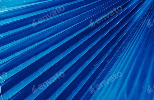 Preview: Palm leaf toned in color of the year classic blue