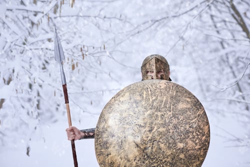 Preview: Brave spartan warrior in snowy wood