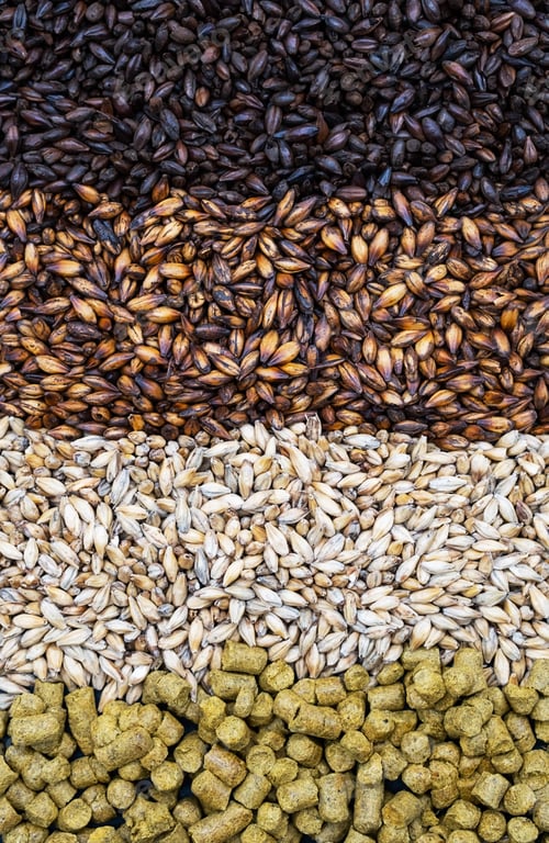Preview: Pale Ale, Caramel and Black Malt Grains, Green Hops, Close-up.