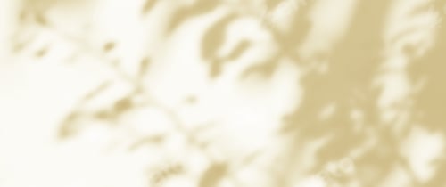 Preview: Autumn brown beige wall with shadow of leaves overlay.