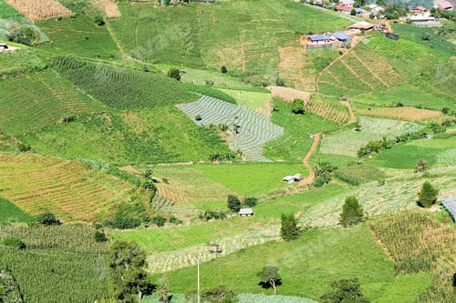 Preview: Agriculture, countryside of northern Thailand,Chiang Mai