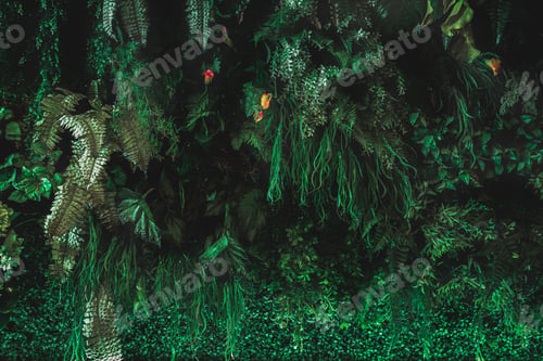 Preview: Herb wall, plant wall, natural green wallpaper and background.